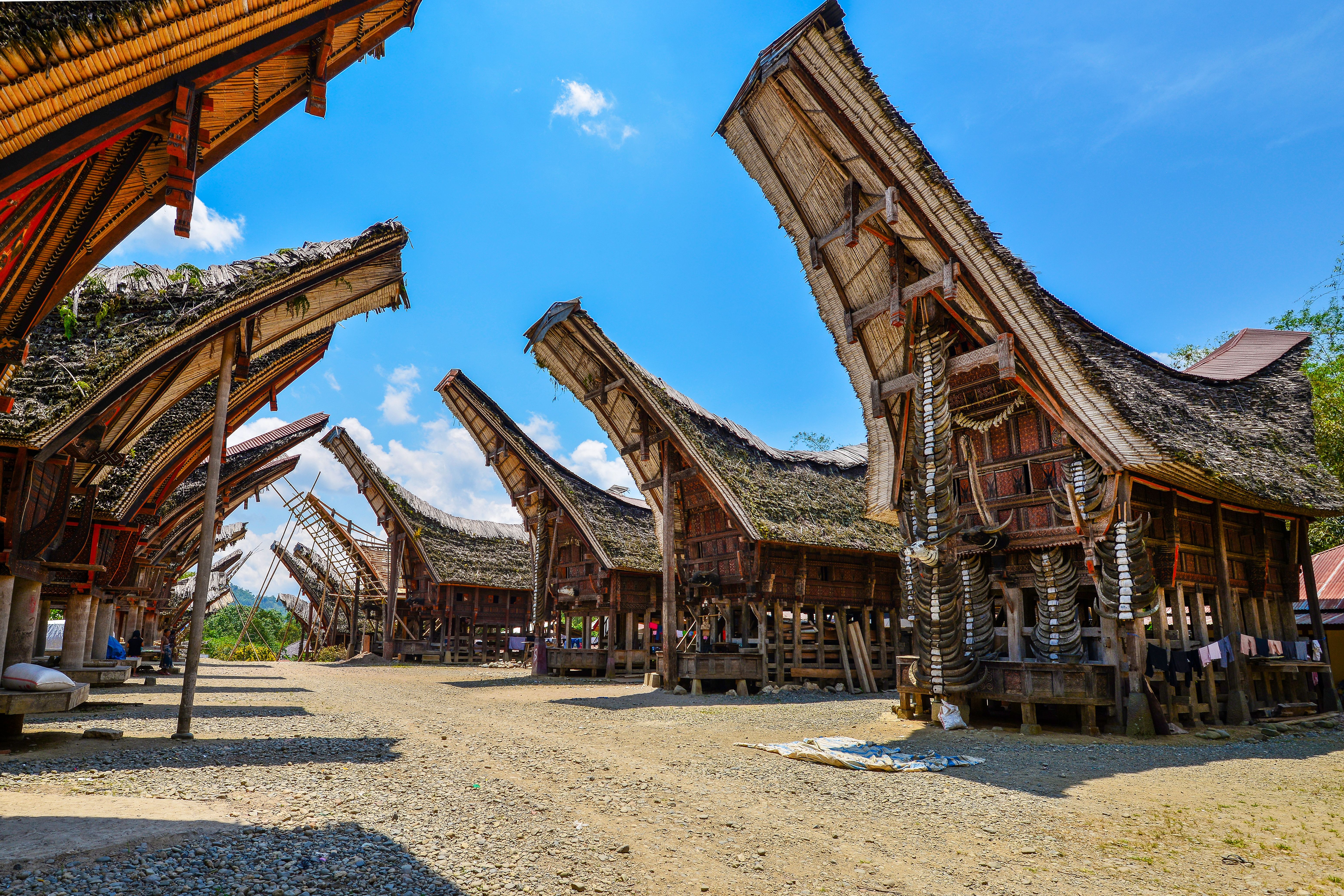 Ilustrasi Rumah Tongkonan khas Toraja. (Foto: Shutterstock/Fakhri Anindita)