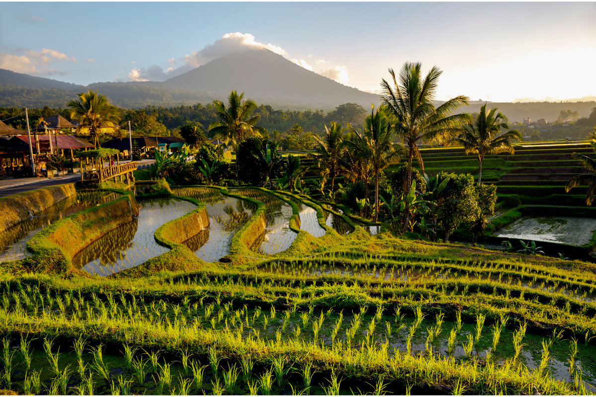 The Subak System: World Cultural Heritage and Tourist Attraction