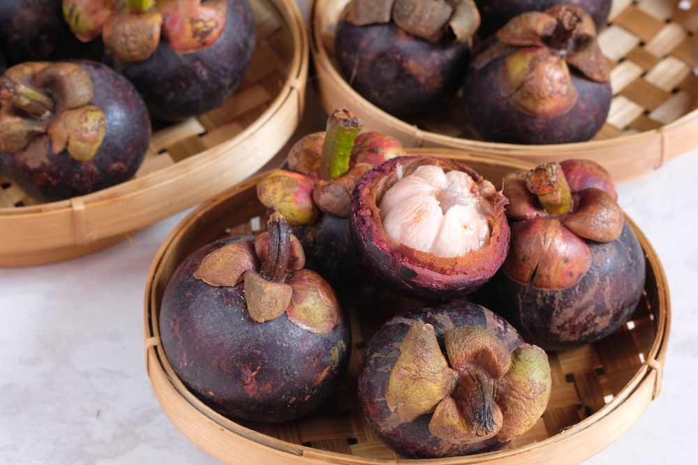 Ilustrasi buah Manggis, sebagai salah satu Super Food Indonesia yang banyak manfaatnya. (Foto: Shutterstock/Ika Hilal)