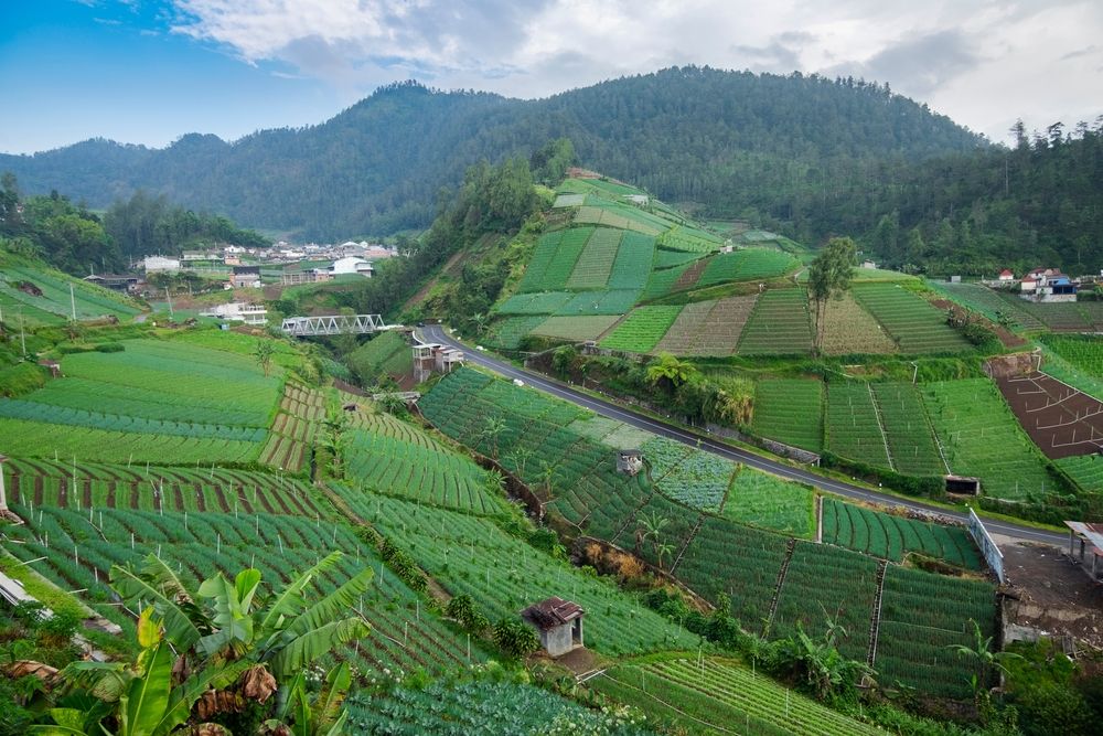 Tawangmangu Destinasi Herbal Tourism Indonesia