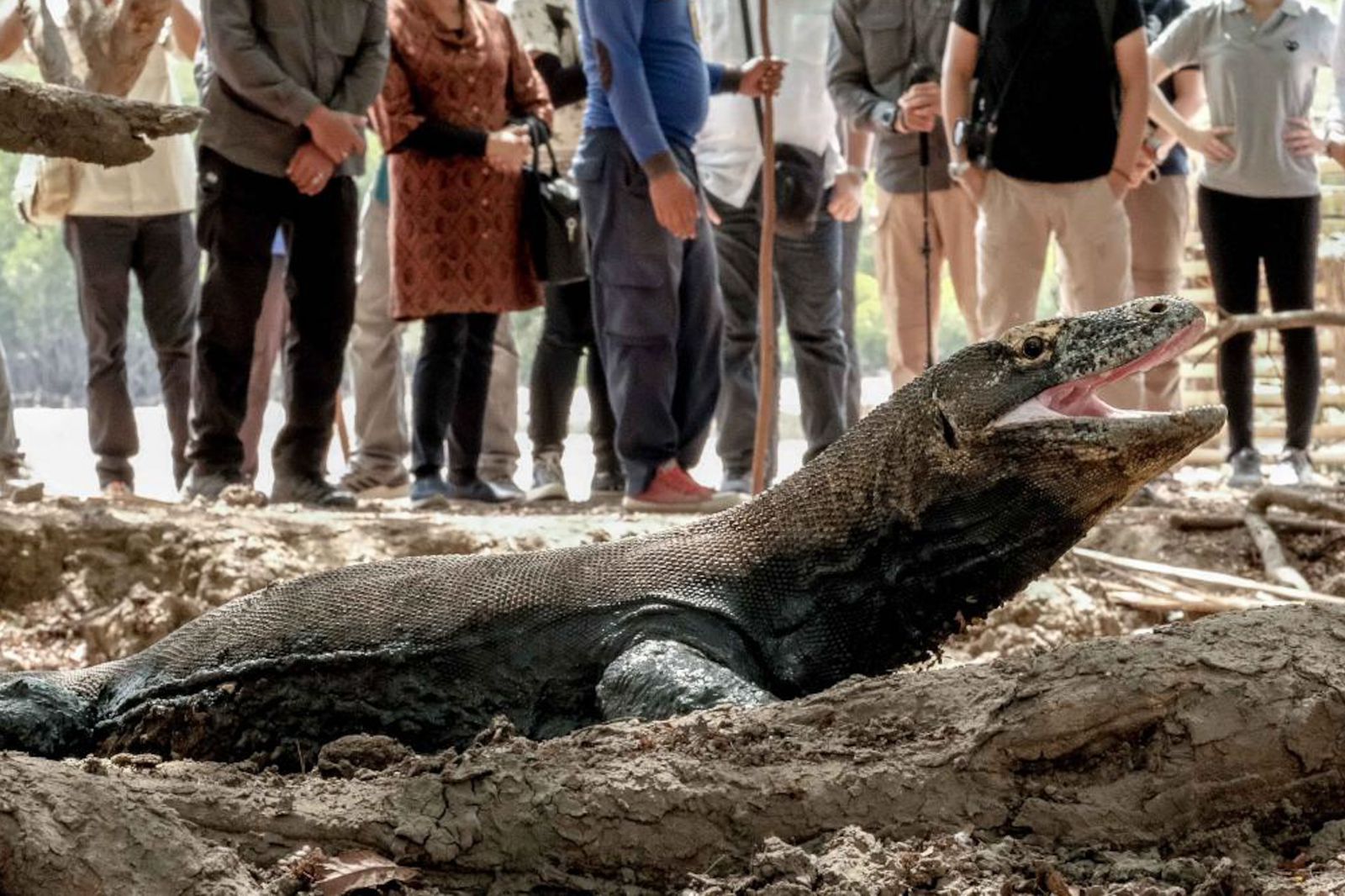 Siaran Pers: Menparekraf: Wacana Tiket Terusan Wisatawan di TN Komodo Masih Akan Dibahas